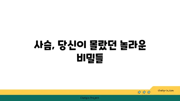 사슴의 비밀| 흥미로운 사슴 이야기와 놀라운 사실들 | 동물, 야생, 자연, 멸종 위기