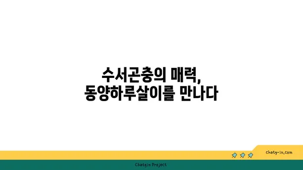 동양하루살이| 생태와 특징 | 곤충, 하루살이, 수서곤충, 생물학