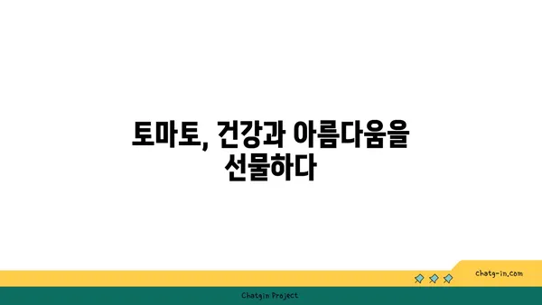 토마토| 피부 건강의 빛나는 별 | 피부 미용, 항산화 효과, 토마토 활용법