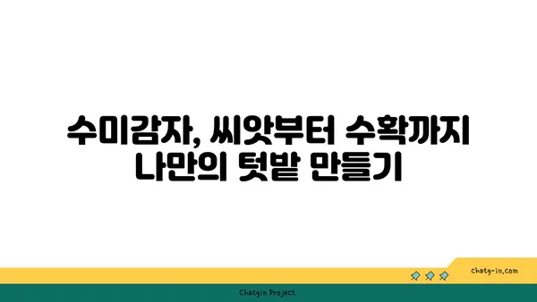 수미감자 집에서 키우기| 씨앗부터 수확까지 완벽 가이드 | 수미감자 재배, 베란다 텃밭, 텃밭 가꾸기