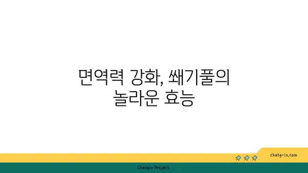 쐐기풀의 놀라운 효능과 활용법| 피부, 건강, 요리까지 | 쐐기풀 효능, 쐐기풀 활용법, 쐐기풀 차