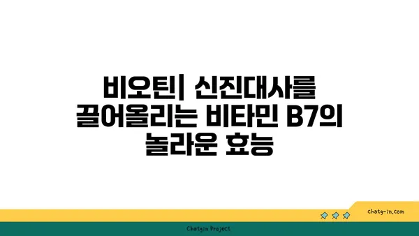 비오틴, 신진대사를 끌어올리는 비밀| 효과적인 섭취 방법과 주의 사항 | 비타민 B7, 건강, 영양, 다이어트