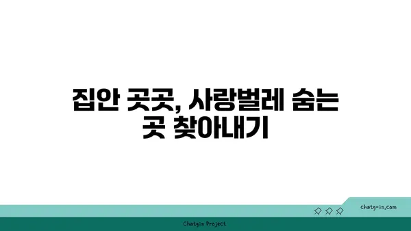 사랑벌레로부터 나를 지켜줘! | 사랑벌레 퇴치, 천연 방충제, 효과적인 예방법