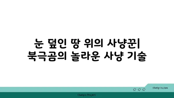 큰곰의 비밀| 북극곰 생존 전략 | 북극곰, 생존, 야생동물, 겨울잠