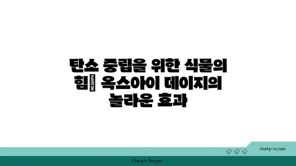 탄소 배출량 감소에 도움되는 식물, 옥스아이 데이지 | 탄소 중립, 환경 보호, 식물의 힘