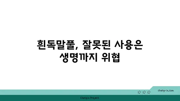 흰독말풀|  위험한 아름다움, 알아야 할 5가지 사실 | 독초, 식물, 주의사항, 안전