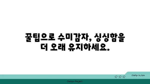 수미감자 오래 보관하는 최고의 방법| 싱싱함을 유지하는 꿀팁 | 수미감자 보관법, 감자 보관법, 오래 보관하는 방법