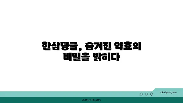 한삼덩굴의 효능과 활용법 | 약초, 민간요법, 건강