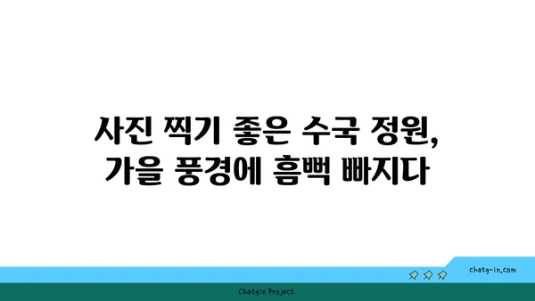 수국 페스티벌| 가을의 화려한 색채와 향기를 만끽하는 축제 | 수국, 가을 축제, 여행, 사진 명소