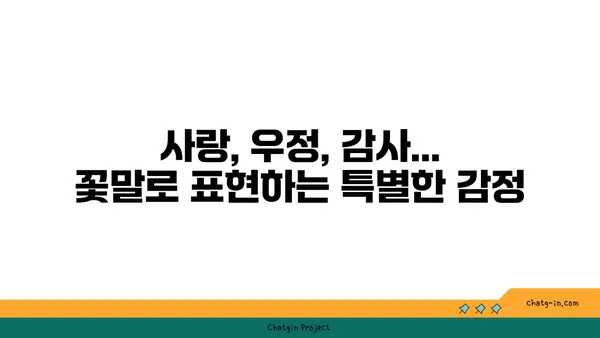 꽃말과 색깔로 알아보는 꽃의 상징 | 꽃의 의미, 꽃 선물, 꽃 색깔, 꽃말 해석