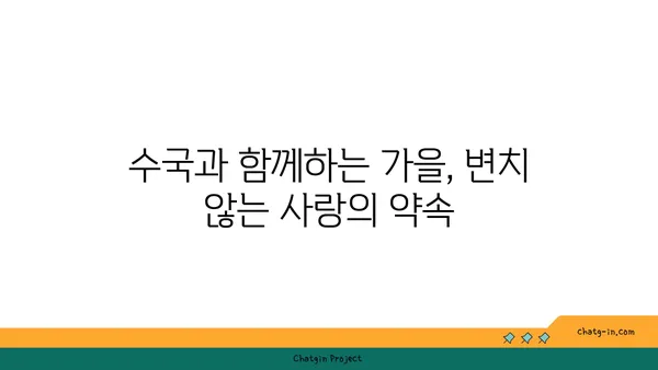 수국의 꽃말| 가을의 의미 |  변치 않는 사랑, 깊어지는 감정, 희망