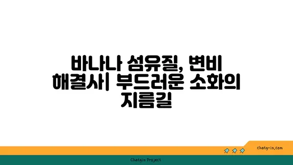 바나나, 식이섬유질 풍부한 이유| 건강한 장을 위한 과학적 근거 | 바나나 효능, 식이섬유, 소화 건강