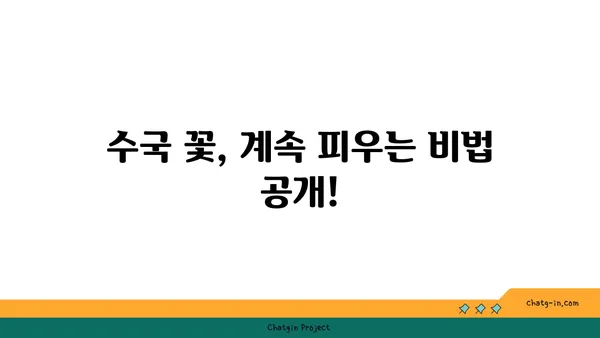 끊임없이 피는 수국, 비밀은 바로 이것! | 수국 키우기, 수국 관리, 수국 꽃피는 시기