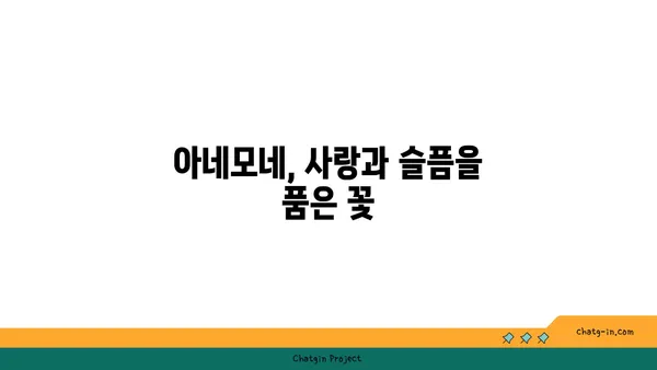 아네모네 꽃말과 전설| 사랑과 기쁨, 슬픔과 희망의 아름다운 상징 | 꽃말, 전설, 의미, 종류, 재배