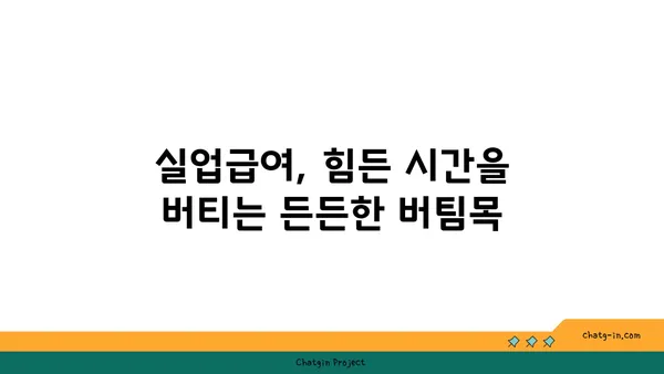 권고사직, 실수였을까요? 실업급여로 다시 일어서는 방법 | 권고사직, 실업급여, 재취업, 희망