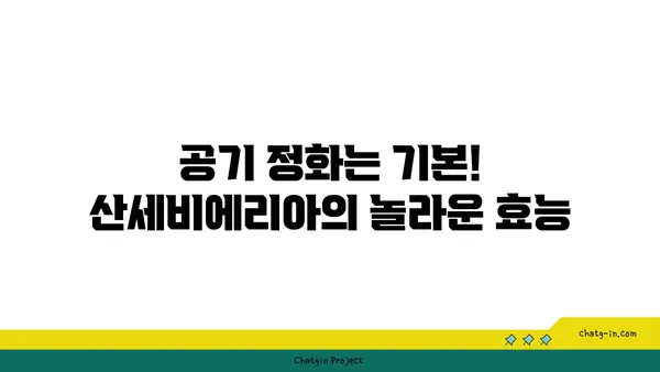 산세비에리아 키우기 완벽 가이드| 종류별 관리법부터 번식까지 | 공기정화식물, 다육식물, 실내식물