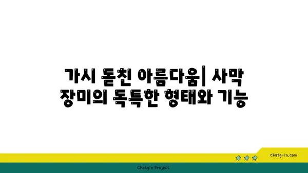 사막의 장미, 그 매혹적인 아름다움과 생존 전략 | 사막 식물, 선인장, 건조 기후, 생존