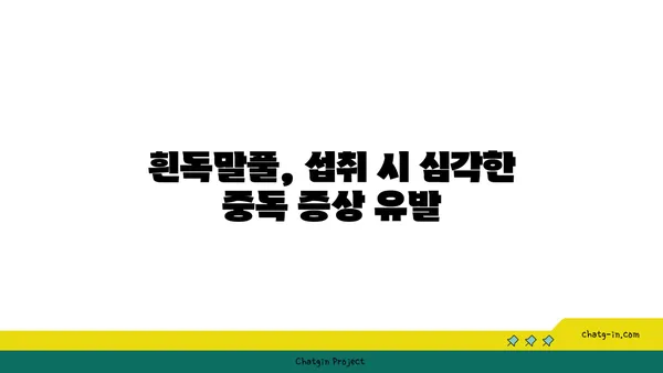 흰독말풀|  위험한 아름다움, 알아야 할 5가지 사실 | 독초, 식물, 주의사항, 안전