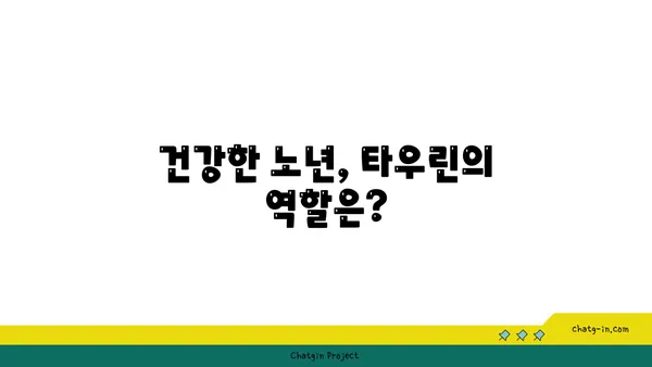 타우린, 알츠하이머병 위험 감소에 효과적인가요? | 타우린, 알츠하이머, 건강, 연구