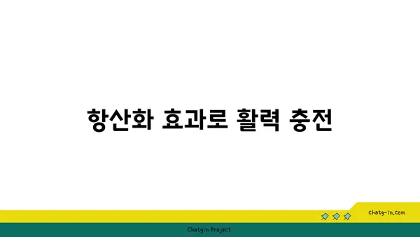 크랜베리의 놀라운 효능 7가지 | 건강, 슈퍼푸드, 항산화, 면역력, 혈액순환