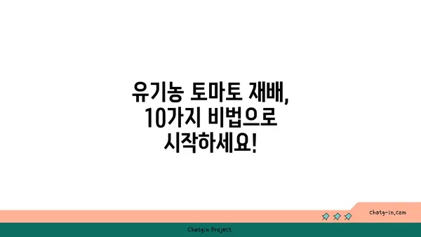 토마토 유기농 재배 가이드| 화학물질 없이 자연의 맛을 즐기는 10가지 비법 | 유기농 토마토, 토마토 재배, 친환경 농업, 화학비료 대체