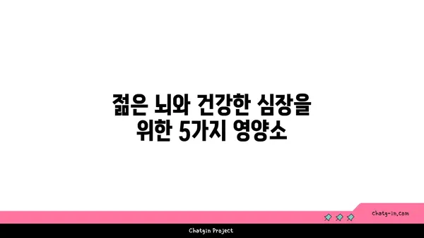 뇌와 심장 건강을 위한 5가지 핵심 식품| 노화 방지 & 인지 향상 | 건강 식단, 뇌 건강, 심장 건강, 노화 방지, 인지 기능 향상