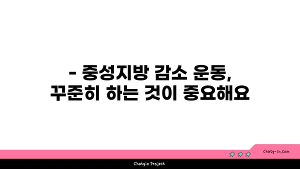 중성지방 감소 운동, 어떤 종류가 효과적일까요? | 중성지방 낮추는 운동, 운동 루틴, 건강 관리