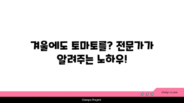 겨울철에도 맛있는 토마토를? 꿀팁 가득한 토마토 재배 가이드 | 겨울 토마토, 재배 방법, 팁, 노하우