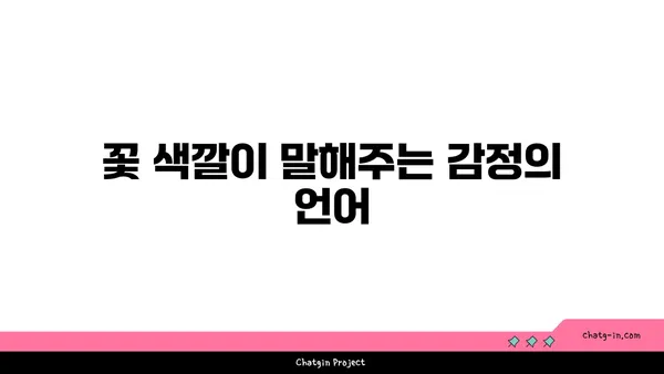 꽃말과 색깔로 알아보는 꽃의 상징 | 꽃의 의미, 꽃 선물, 꽃 색깔, 꽃말 해석