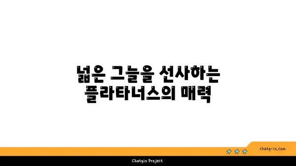 플라타너스(버즘나무)의 매력|  가로수, 정원수로 인기 있는 이유 | 플라타너스, 버즘나무, 가로수, 정원수, 특징, 장점