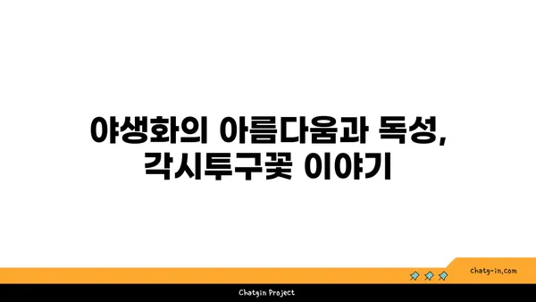 각시투구꽃의 매혹적인 자태와 독성 | 야생화, 식물, 독성 식물, 한국 자생종