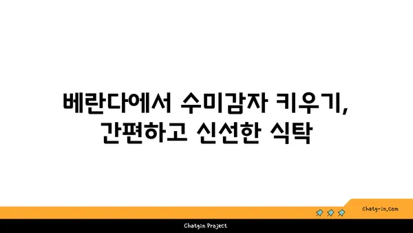 수미감자 집에서 키우기| 씨앗부터 수확까지 완벽 가이드 | 수미감자 재배, 베란다 텃밭, 텃밭 가꾸기