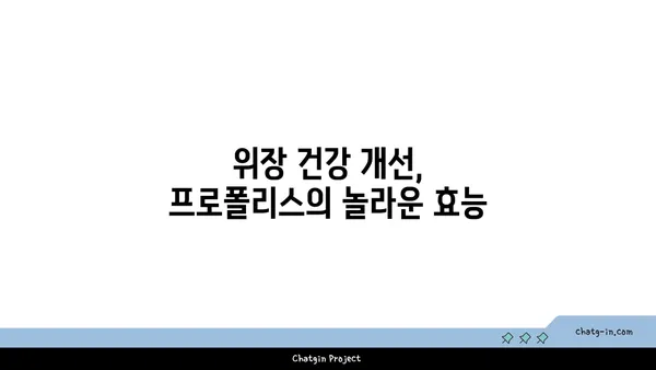 프로폴리스의 위장 건강| 소화 장애 완화 | 프로폴리스 효능, 위장 건강 개선, 소화불량 해결