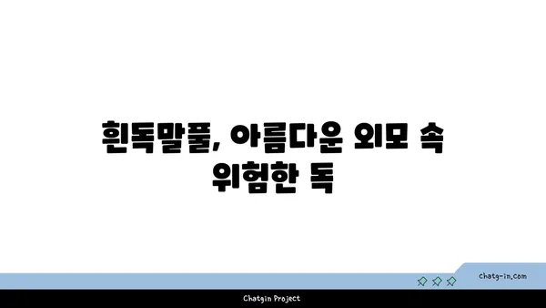 흰독말풀|  위험한 아름다움, 알아야 할 5가지 사실 | 독초, 식물, 주의사항, 안전