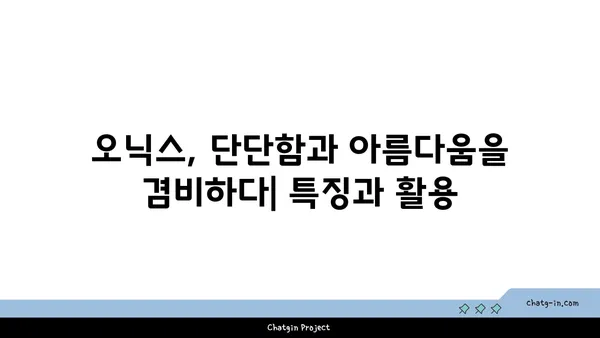 오닉스의 매력| 보석의 신비와 특징 알아보기 | 오닉스, 보석, 특징, 종류, 의미