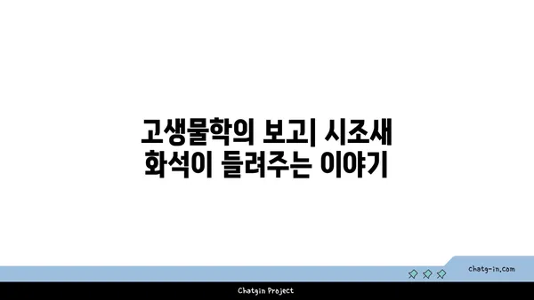 시조새| 진화의 증거, 공룡과 조류의 연결고리 | 공룡, 조류, 진화, 화석, 고생물학