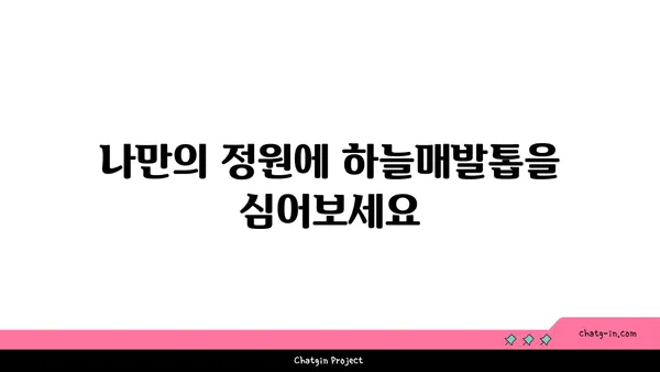 하늘매발톱의 매력적인 세계| 꽃말, 재배법, 그리고 전설 | 야생화, 식물, 정원, 꽃