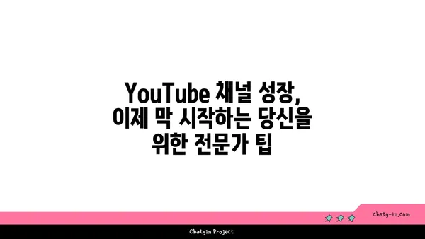 YouTube 채널 성장, 이제 막 시작하는 당신을 위한 전문가 팁 | 초보자 가이드, 채널 성장 전략, 유튜브 마케팅