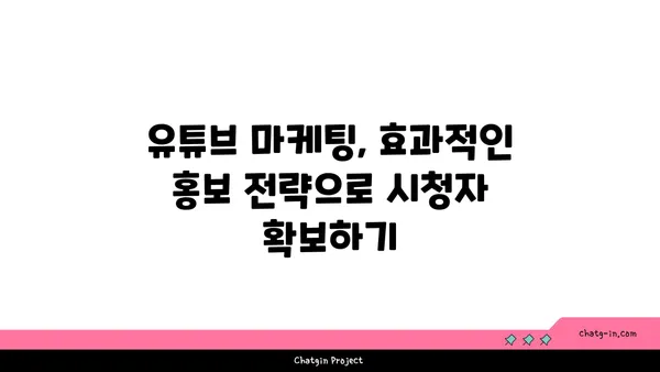 YouTube 채널 성장, 이제 막 시작하는 당신을 위한 전문가 팁 | 초보자 가이드, 채널 성장 전략, 유튜브 마케팅