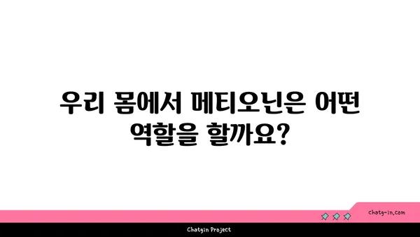 메티오닌의 모든 것| 필수 아미노산의 역할과 건강 효과 | 메티오닌, 필수 아미노산, 건강, 영양, 섭취