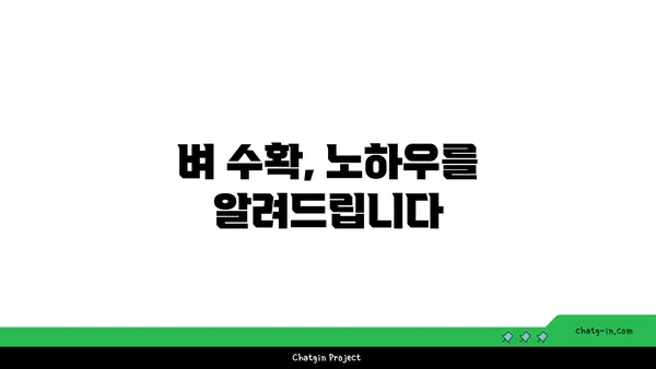 벼농사 성공의 지름길| 품종부터 수확까지 완벽 가이드 | 벼 재배, 벼 품종, 벼농사 기술, 쌀 농사