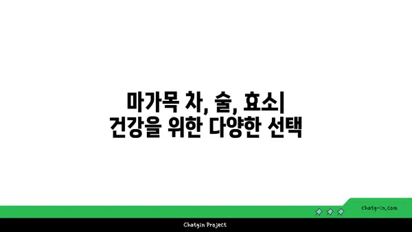 마가목 효능과 부작용 완벽 정리 | 건강, 약효, 주의사항, 차, 술, 효소