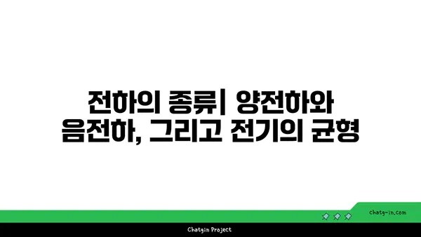 전하량의 비밀| 전기의 기본 단위를 파헤치다 | 전하, 전기, 물리, 과학, 쿨롱