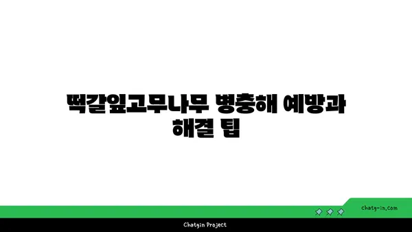 떡갈잎고무나무 키우기 완벽 가이드 | 잎, 물주기, 햇빛, 번식, 병충해, 분갈이, 관리 팁