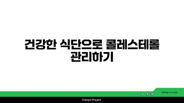 콜레스테롤 걱정 끝! 3가지 효과적인 해결 도구 | 건강, 고지혈증, 식단 관리, 운동