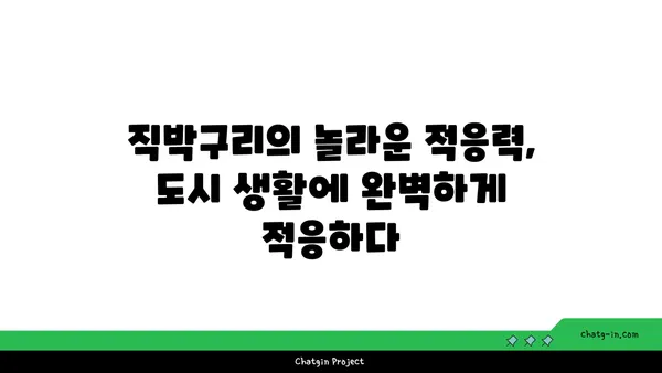 직박구리의 비밀 |  우리 동네 텃새, 직박구리에 대해 알아보자 | 직박구리, 텃새, 새 관찰, 생태