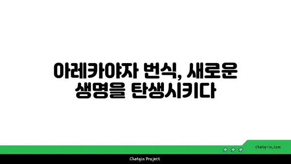 아레카야자 키우기 완벽 가이드 | 실내 인테리어 식물, 공기정화, 관리법, 번식