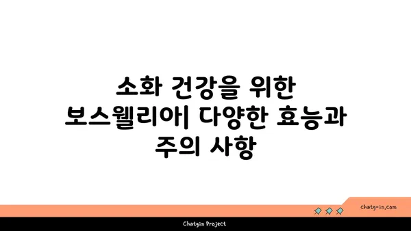 보스웰리아 효능과 부작용 완벽 가이드 | 관절 건강, 염증, 소화, 복용법, 주의사항