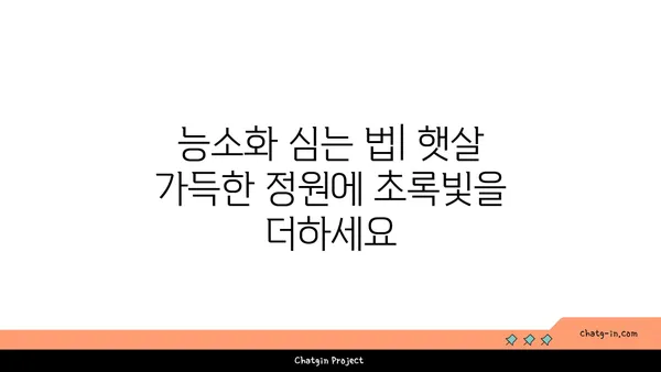 능소화 키우기 완벽 가이드| 심는 법부터 관리법까지 | 능소화, 덩굴식물, 꽃, 원예, 재배