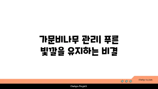 가문비나무| 특징, 종류, 그리고 심는 방법 | 조경, 묘목, 나무 심기